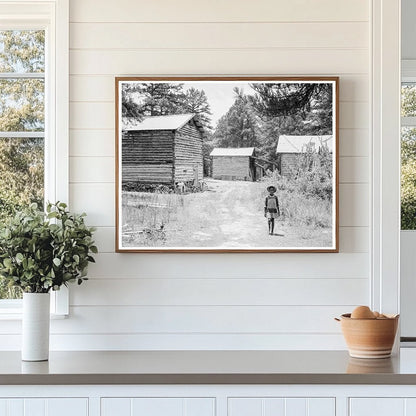 Tobacco Barns in Wake County North Carolina 1939 - Available at KNOWOL