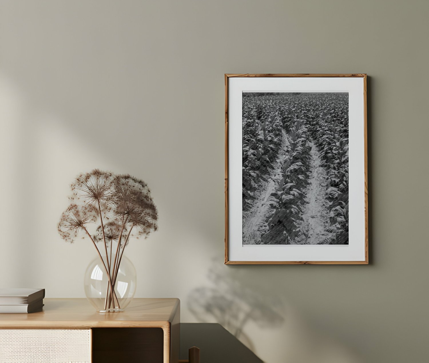 Tobacco Field in Wake County North Carolina July 1939 African American Sharecropper - Available at KNOWOL