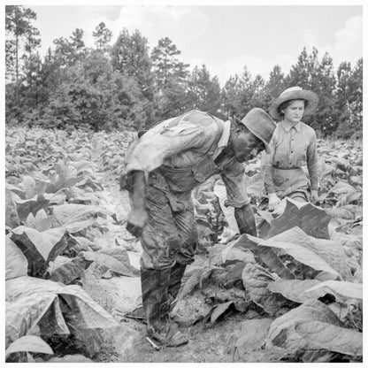 Tobacco Field Labor in Granville County 1939 - Available at KNOWOL