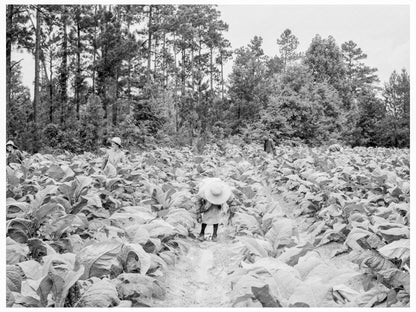 Tobacco Field Workers in Granville County 1939 - Available at KNOWOL