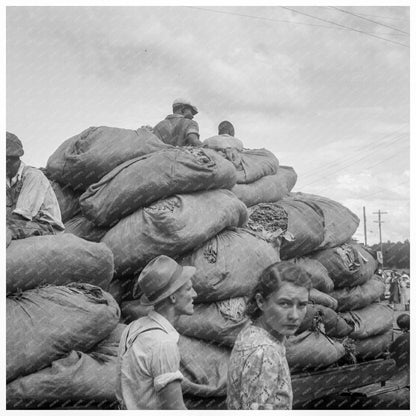 Tobacco Grading in Douglas Georgia July 1938 - Available at KNOWOL