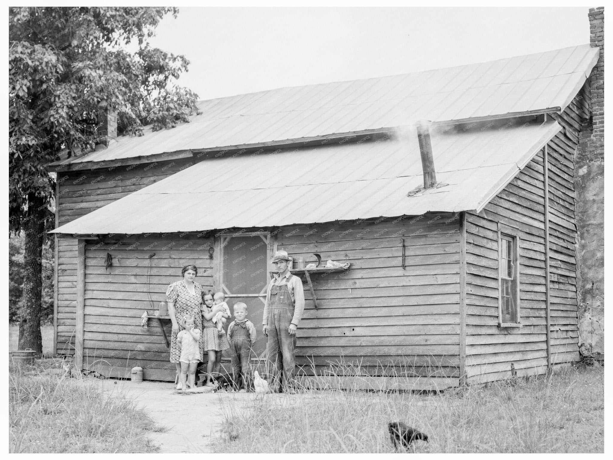 Tobacco Sharecroppers Family North Carolina July 1939 - Available at KNOWOL