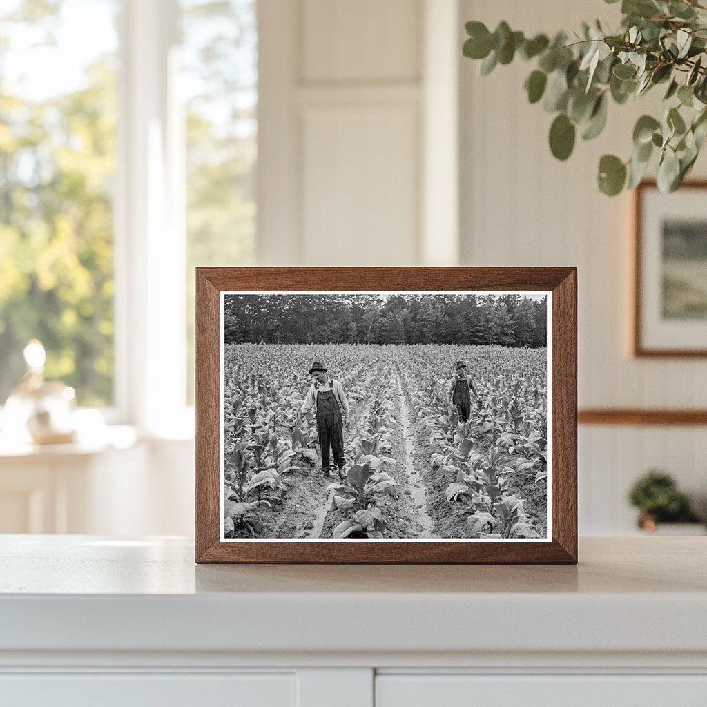 Tobacco Workers in Granville County North Carolina 1939 - Available at KNOWOL