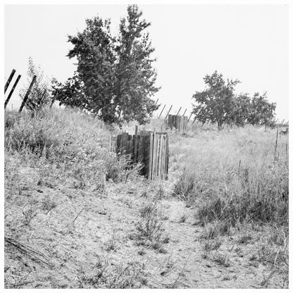 Toilets for Hop Pickers in Oregon August 1939 - Available at KNOWOL