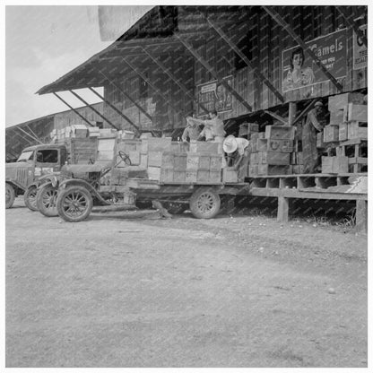 Tomato Packing Shed Hazelhurst Mississippi 1937 - Available at KNOWOL