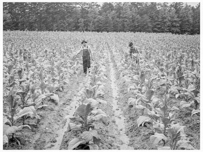 Topping Tobacco Industry in Granville County 1939 - Available at KNOWOL