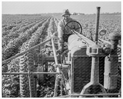 Tractor at Lake Dick Project Arkansas 1938 - Available at KNOWOL