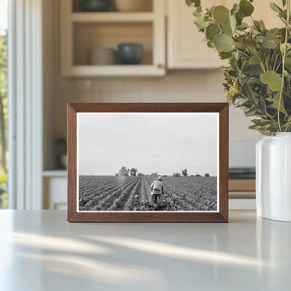 Tractor in Cotton Field Corsicana Texas June 1937 - Available at KNOWOL