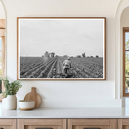 Tractor in Cotton Field Corsicana Texas June 1937 - Available at KNOWOL