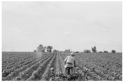 Tractor in Cotton Field Corsicana Texas June 1937 - Available at KNOWOL