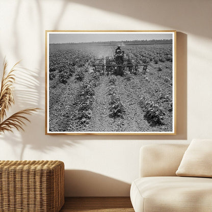 Tractor on Aldridge Plantation Mississippi 1937 - Available at KNOWOL