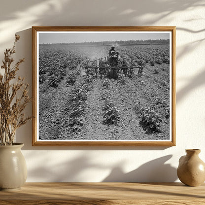 Tractor on Aldridge Plantation Mississippi 1937 - Available at KNOWOL