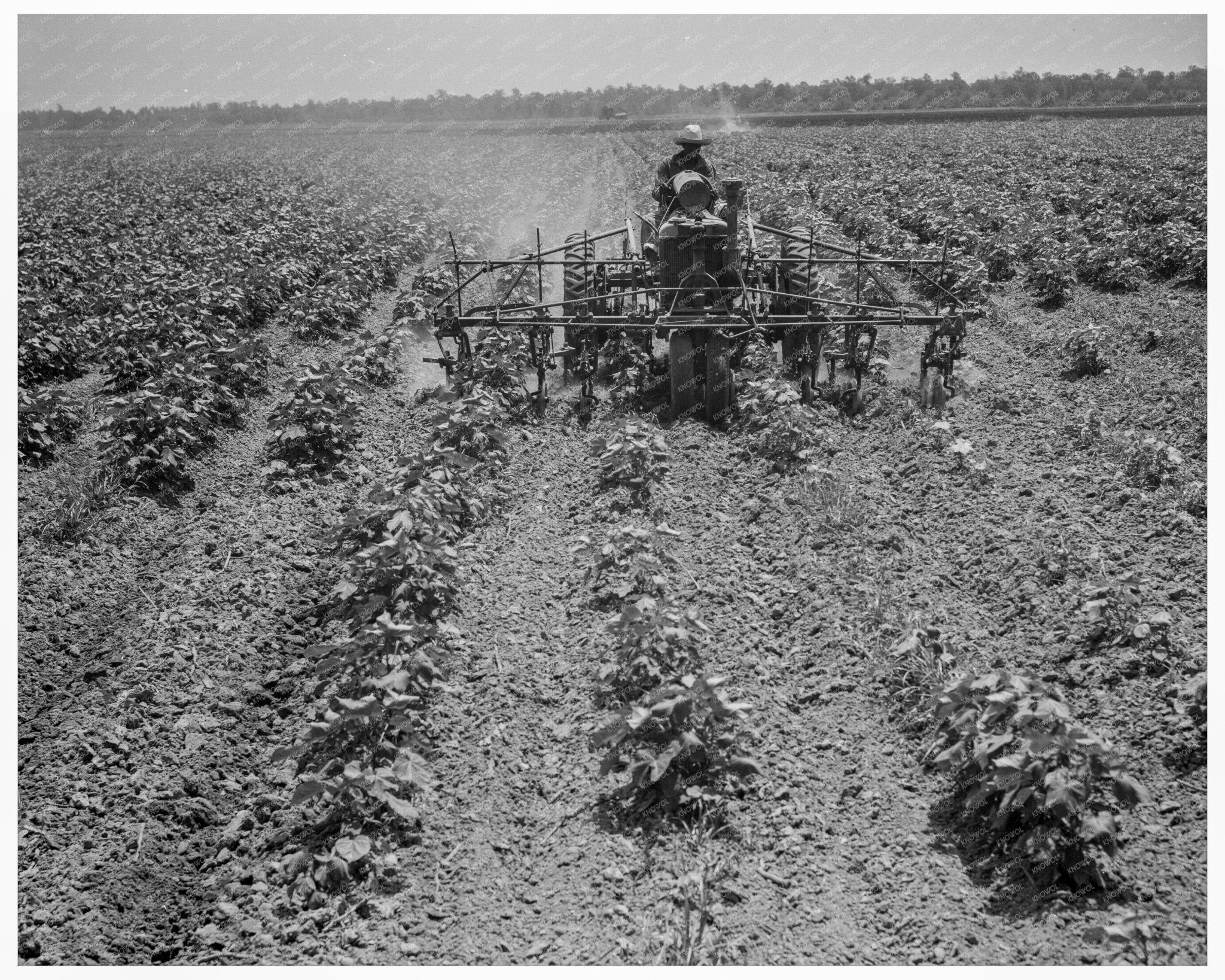 Tractor on Aldridge Plantation Mississippi 1937 - Available at KNOWOL