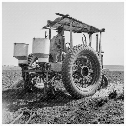 Tractor Operator in Navarro Texas June 1937 Photo - Available at KNOWOL