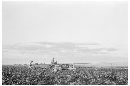 Tractor Pulling Riding Plow in Centrae Texas 1937 - Available at KNOWOL