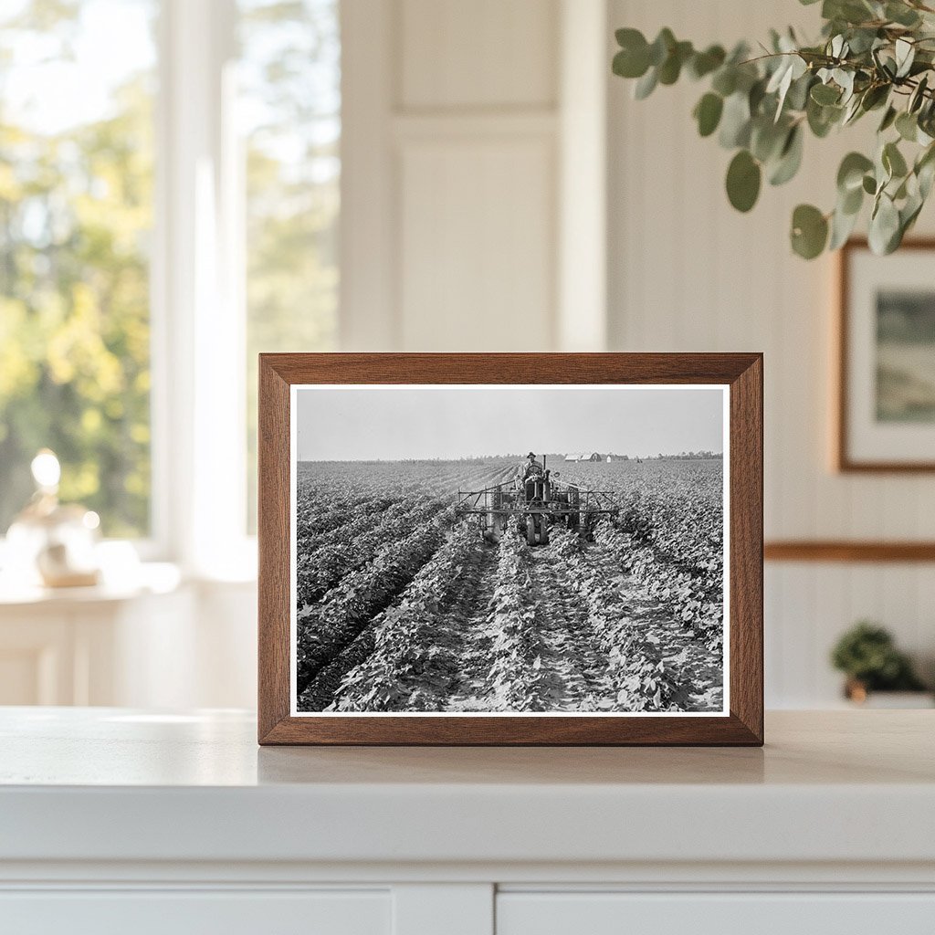 Tractors at Lake Dick Project Jefferson County Arkansas 1938 - Available at KNOWOL