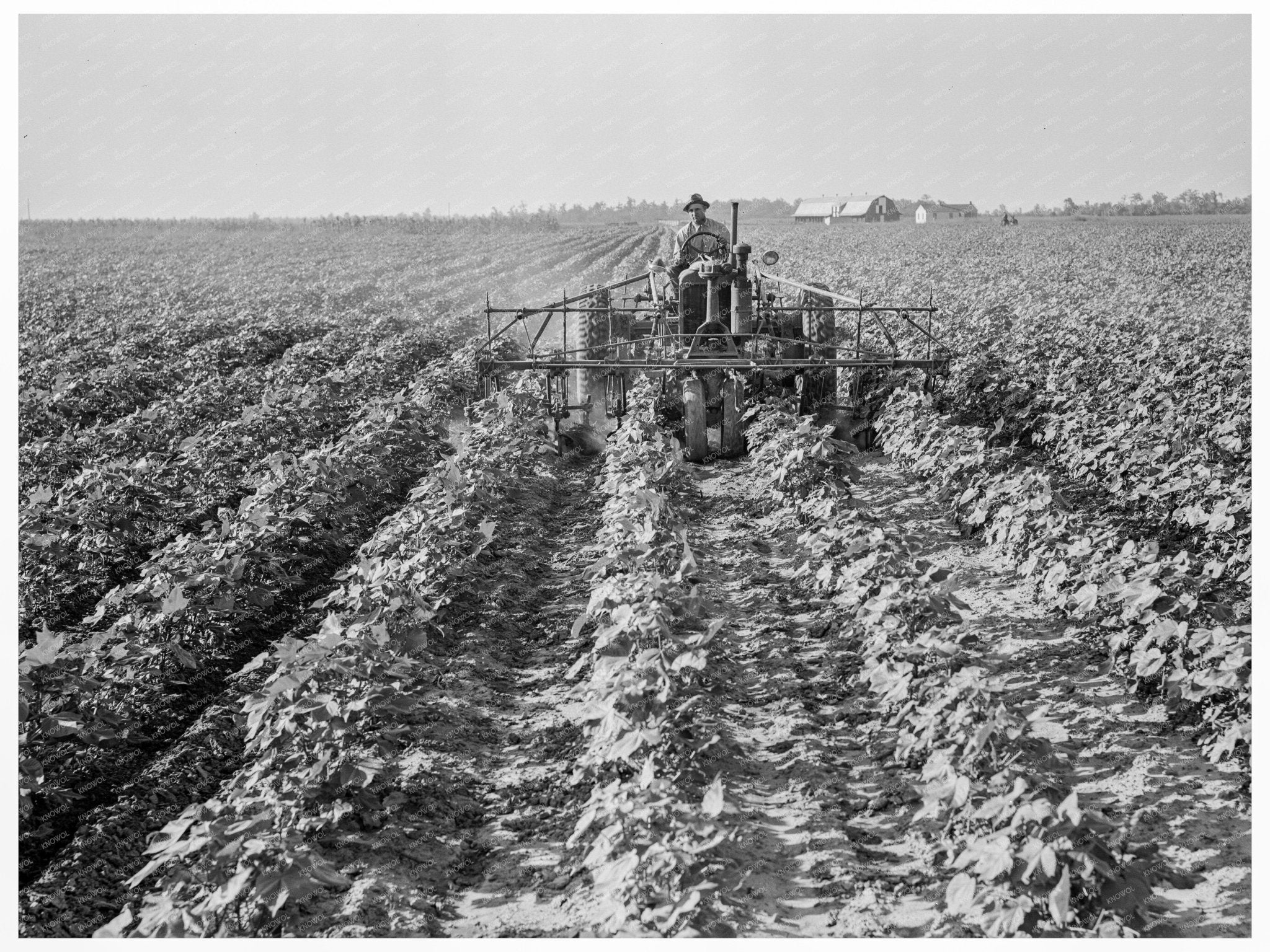 Tractors at Lake Dick Project Jefferson County Arkansas 1938 - Available at KNOWOL