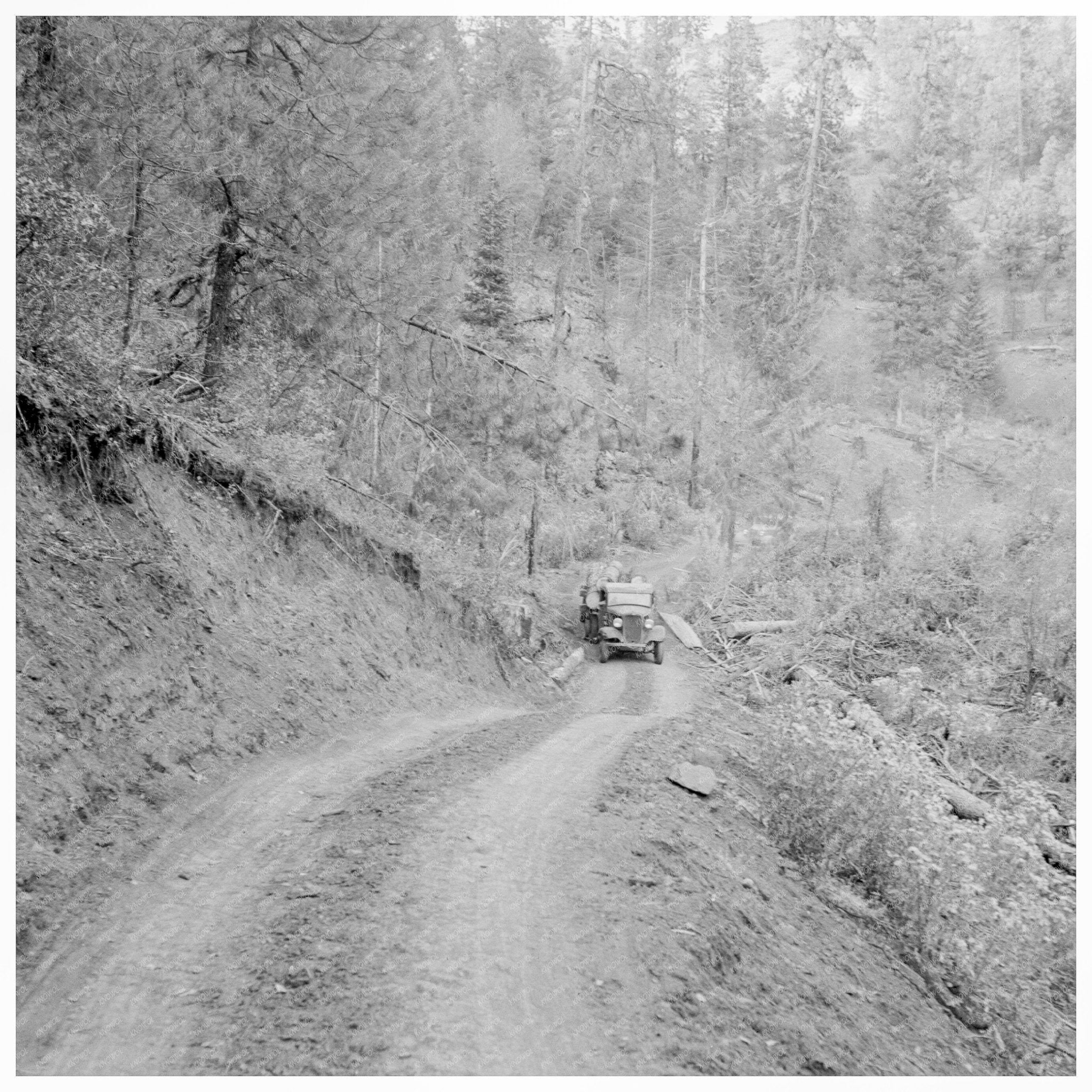 Transporting Logs to Mill in Gem County Idaho 1939 - Available at KNOWOL