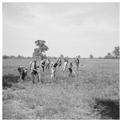 Tree Planting Initiative Allegan County Michigan 1937 - Available at KNOWOL