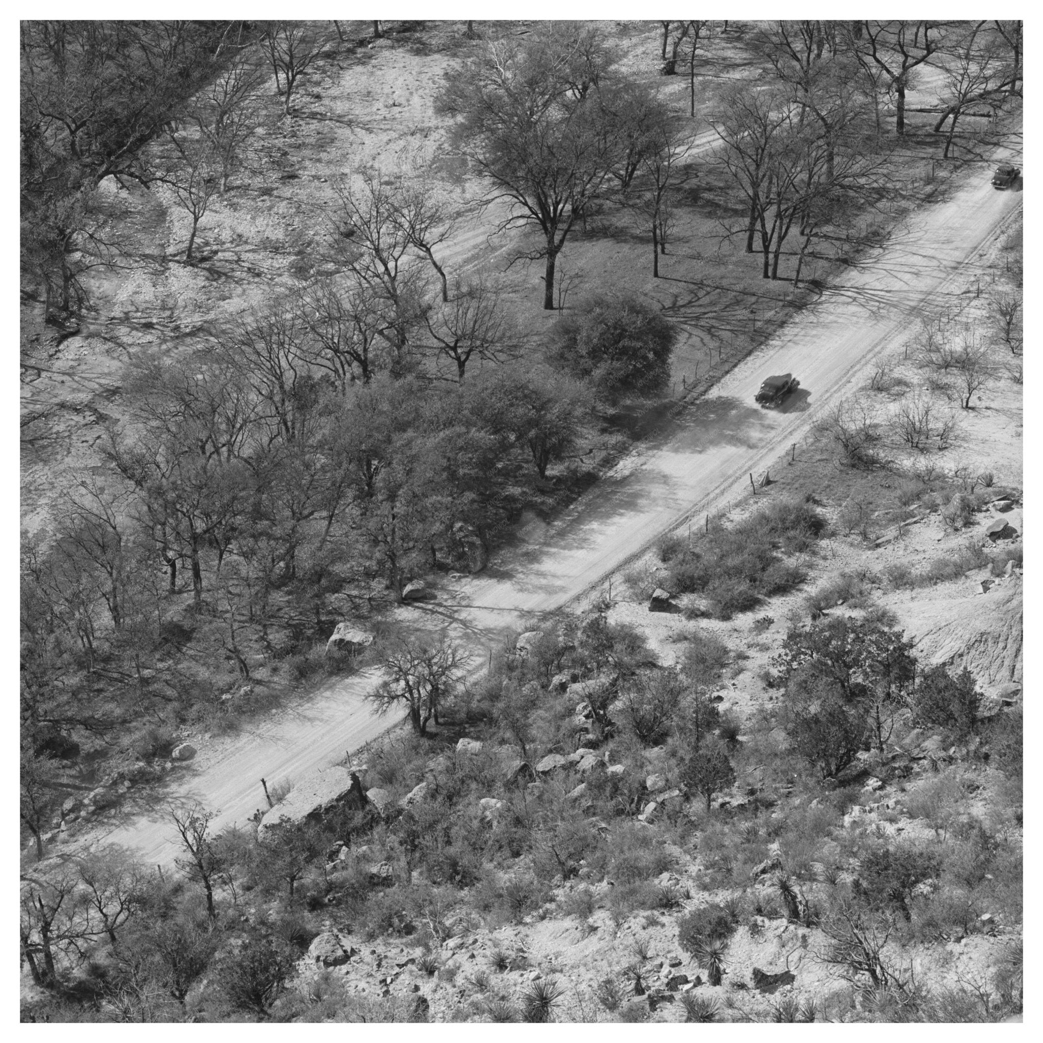 Trees by Creek in Kimble County Texas March 1940 - Available at KNOWOL