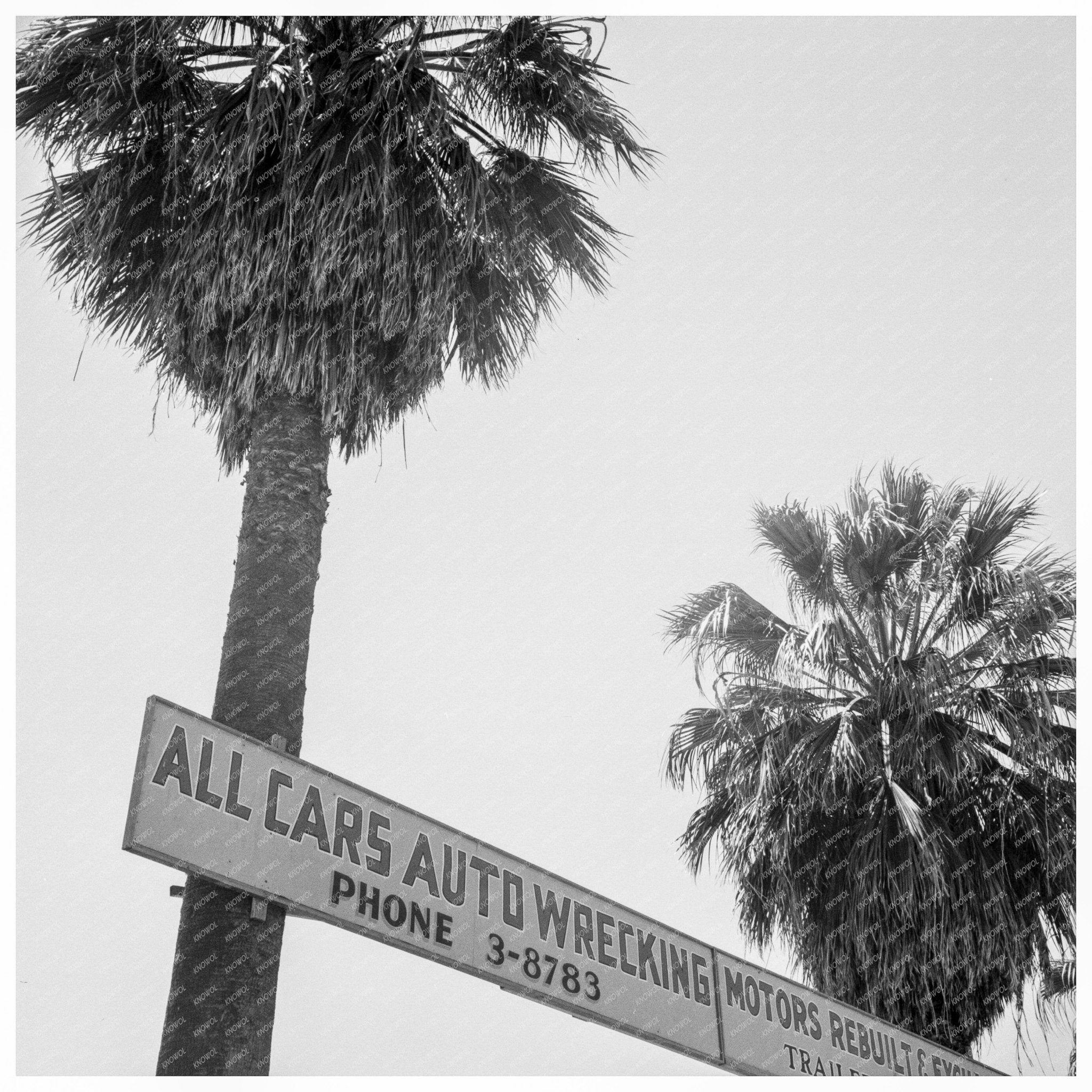 Tulare California Roadside Landscape May 1939 - Available at KNOWOL