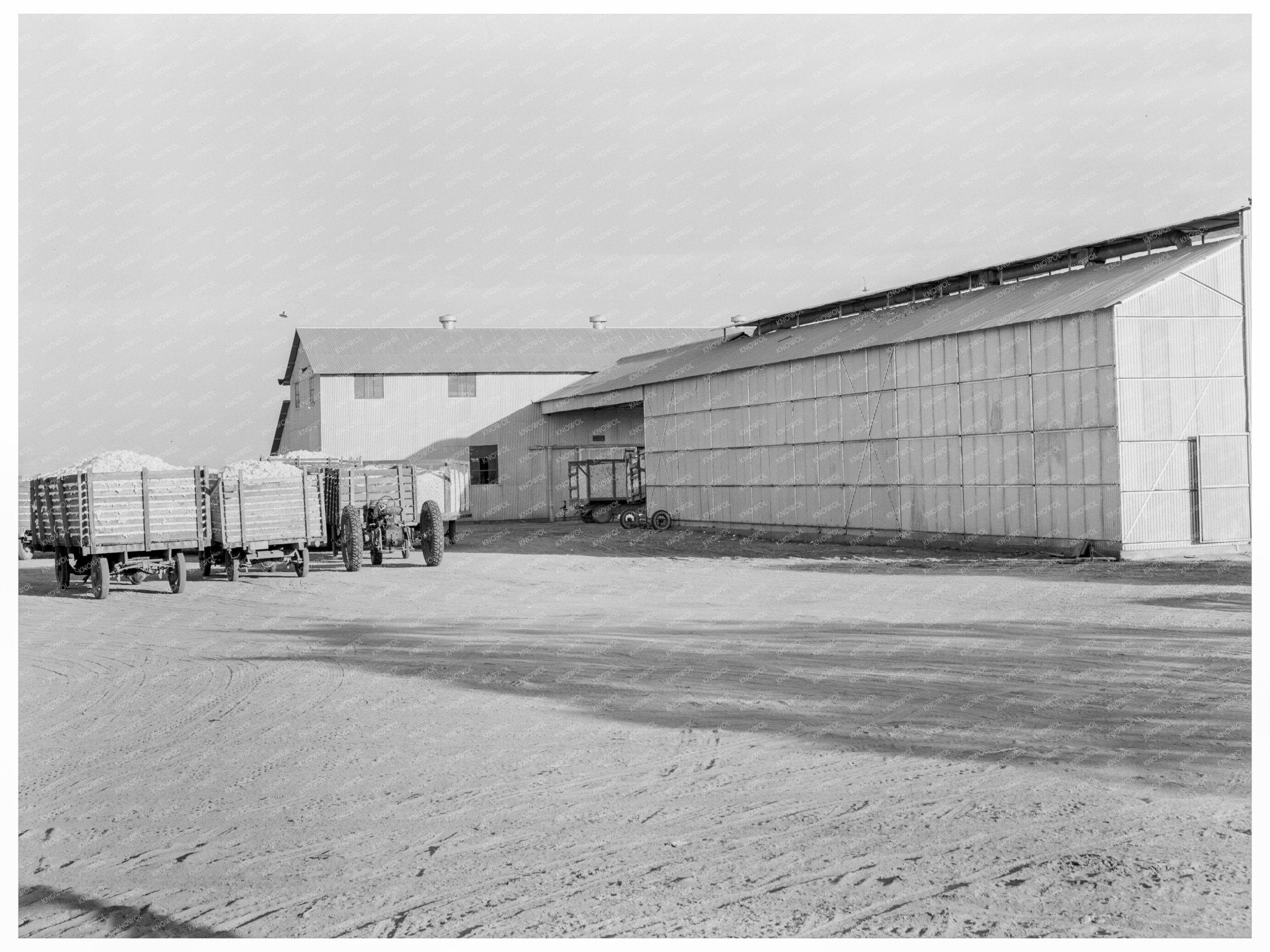 Tulare Cooperative Cotton Gin Operations November 1938 - Available at KNOWOL