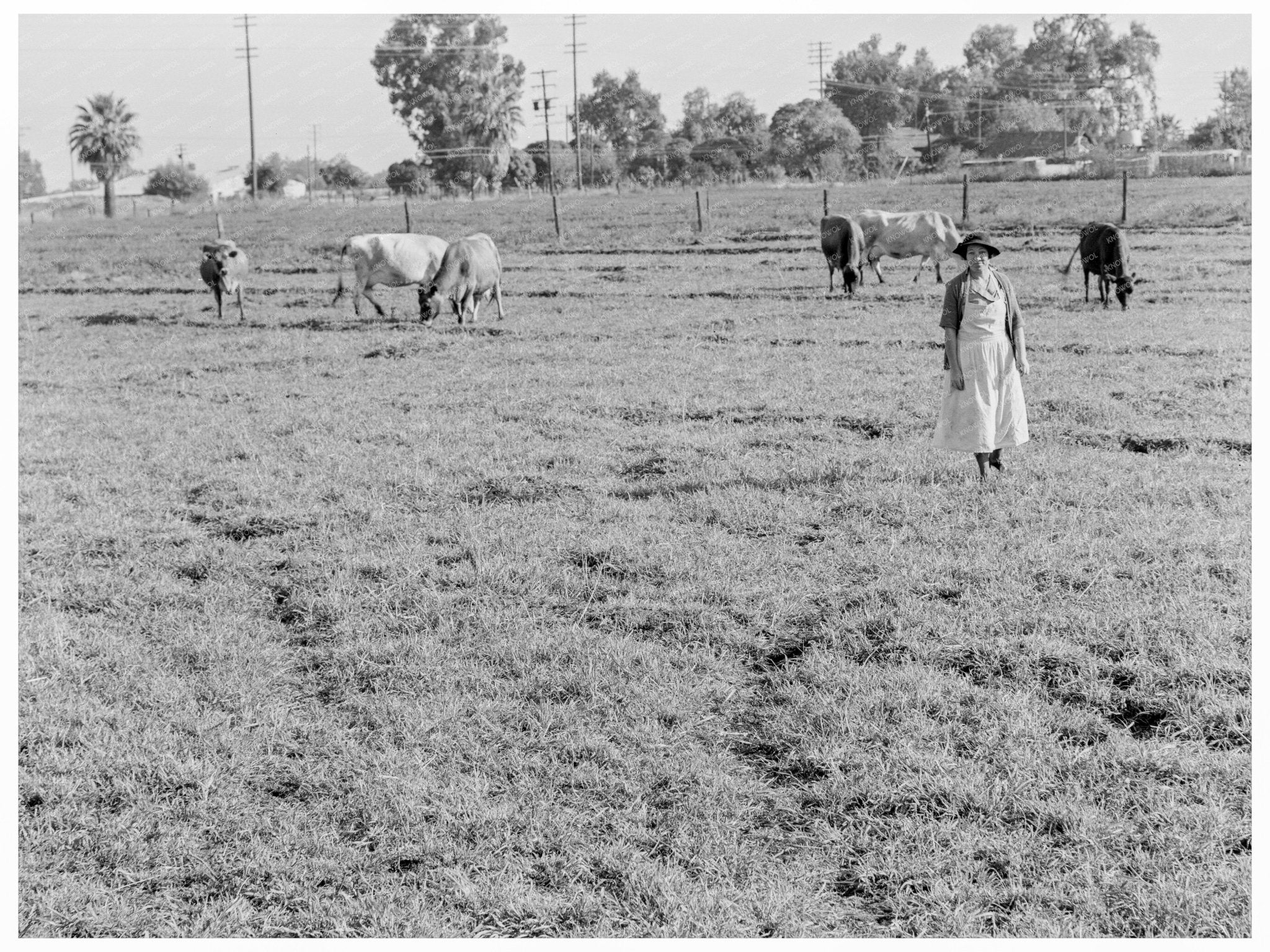 Tulare County Prune Ranch 1938 Agricultural Rehabilitation - Available at KNOWOL