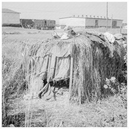 Tulelake Potato Harvest Camp for Single Men 1939 - Available at KNOWOL