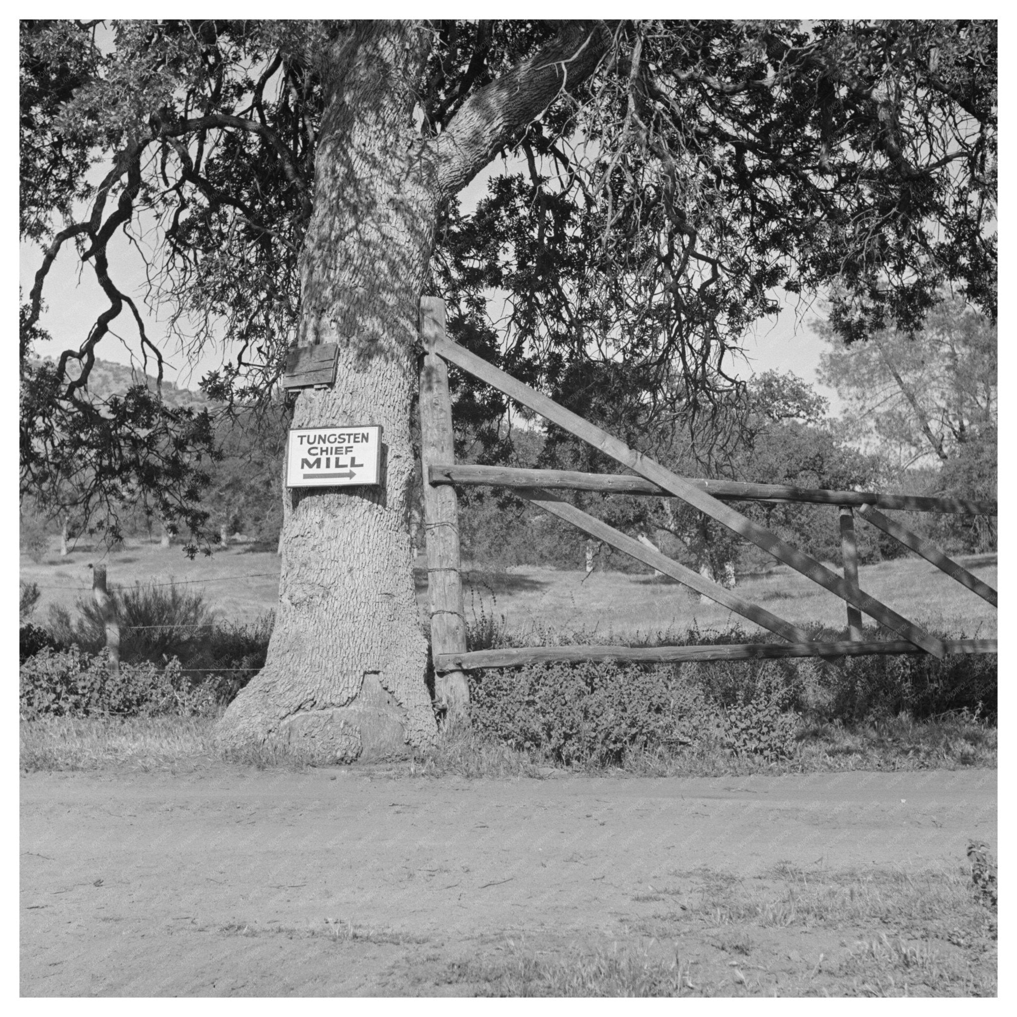 Tungsten Chief Mine Mill Kern County California 1942 - Available at KNOWOL