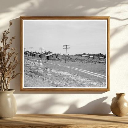 Turpentine Camp in Godwinsville Georgia 1937 - Available at KNOWOL