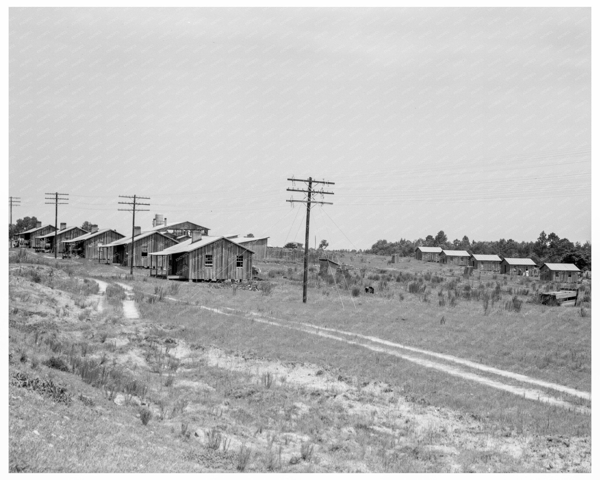 Turpentine Camp in Godwinsville Georgia 1937 - Available at KNOWOL