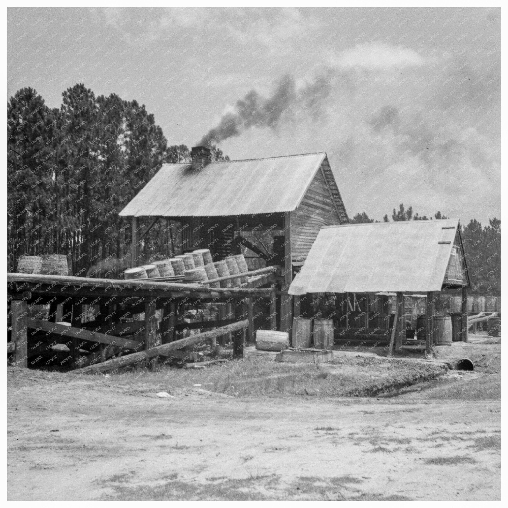 Turpentine Still in Valdosta Georgia July 1937 - Available at KNOWOL