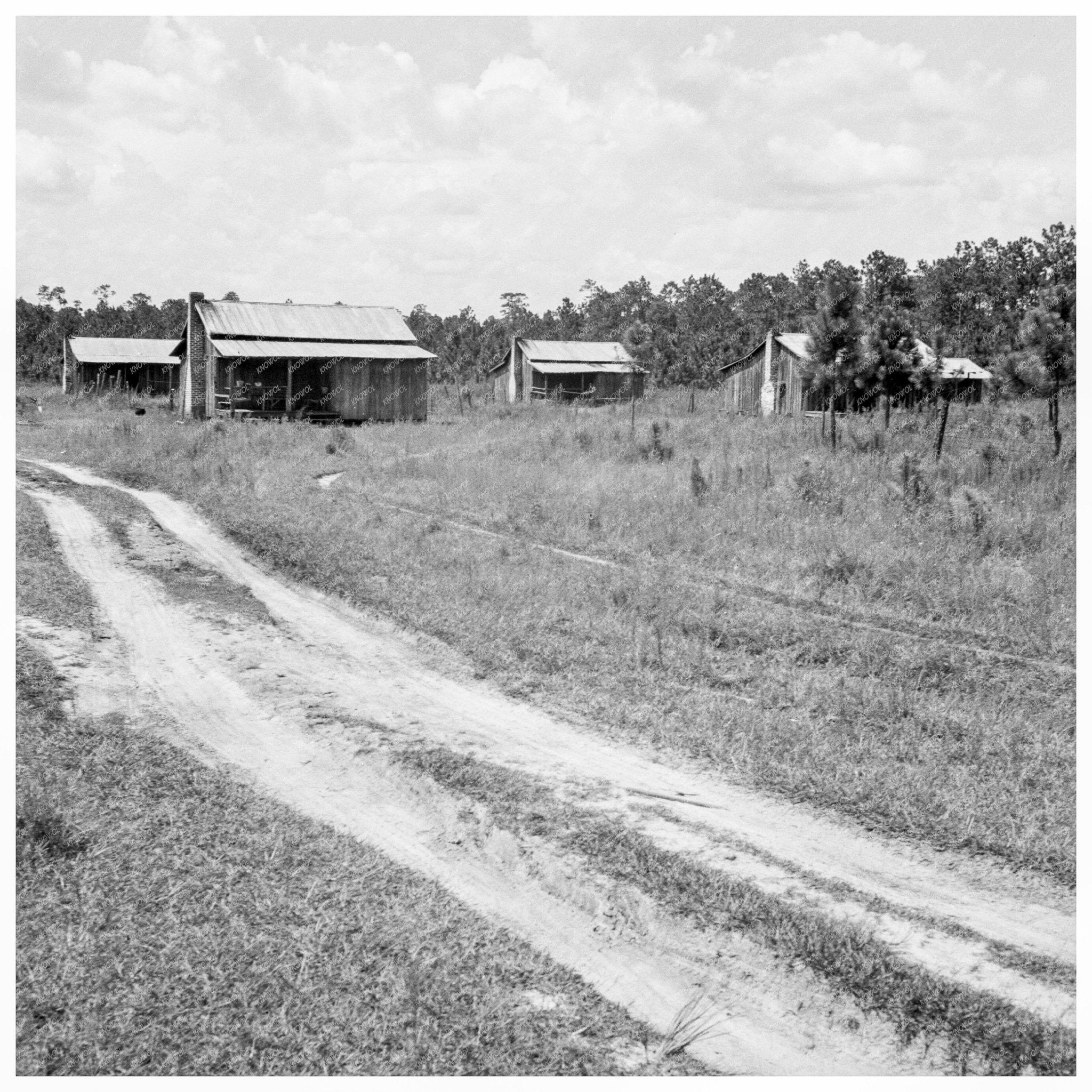 Turpentine Workers Cabins Valdosta Georgia 1937 - Available at KNOWOL