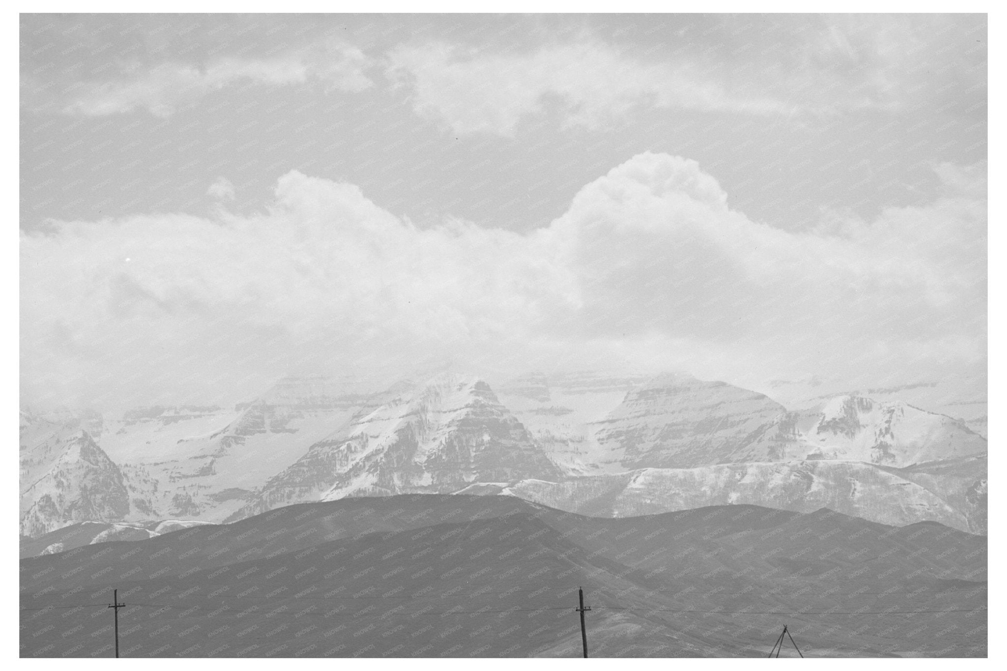 Uinta Mountains and Dandelions Heber Utah May 1941 - Available at KNOWOL