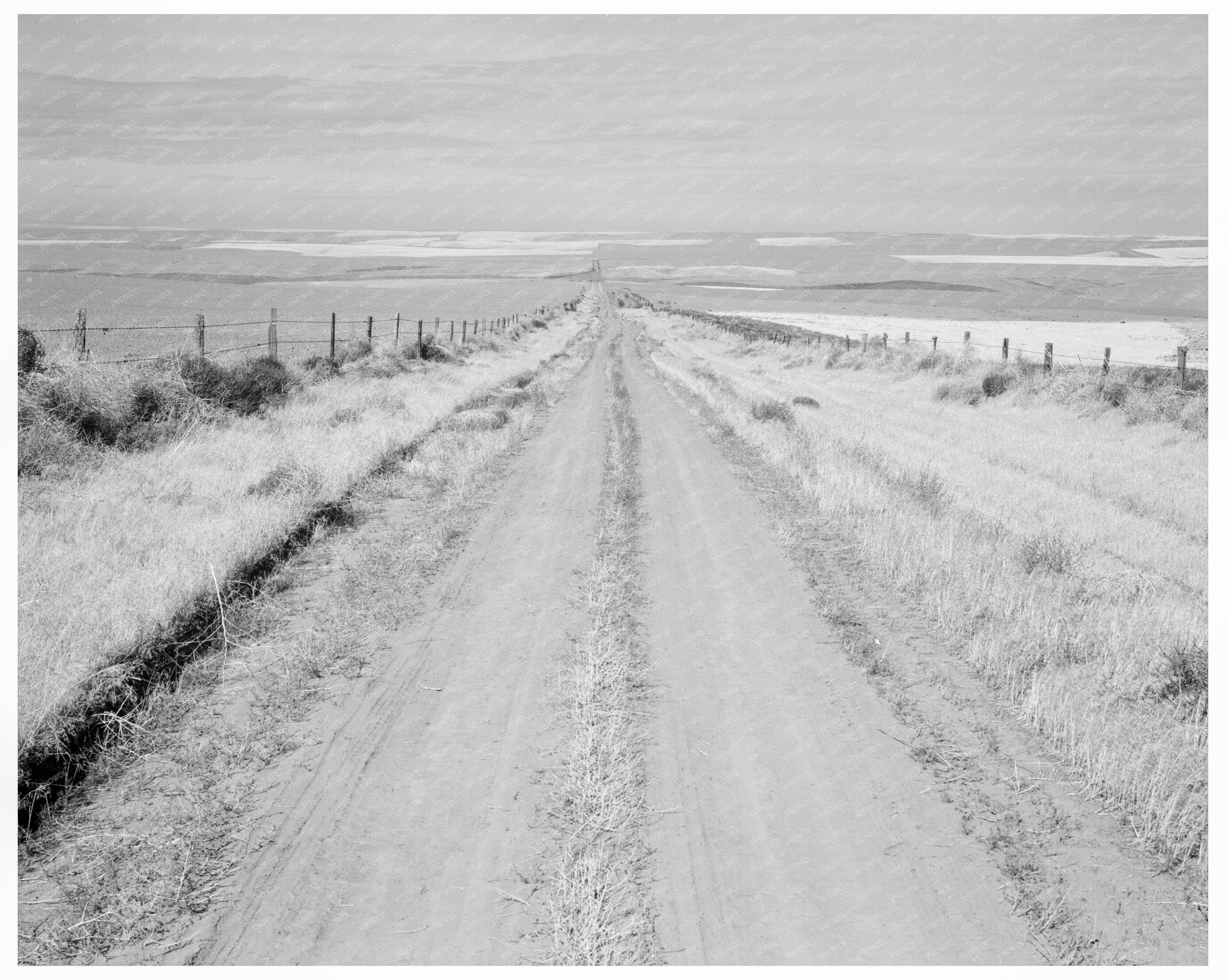 Umatilla County Oregon Agricultural Landscape 1939 - Available at KNOWOL