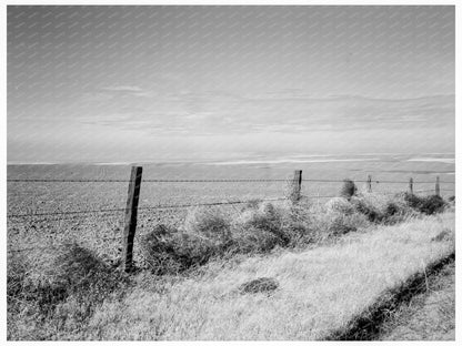 Umatilla County Oregon Wheat Farms October 1939 - Available at KNOWOL