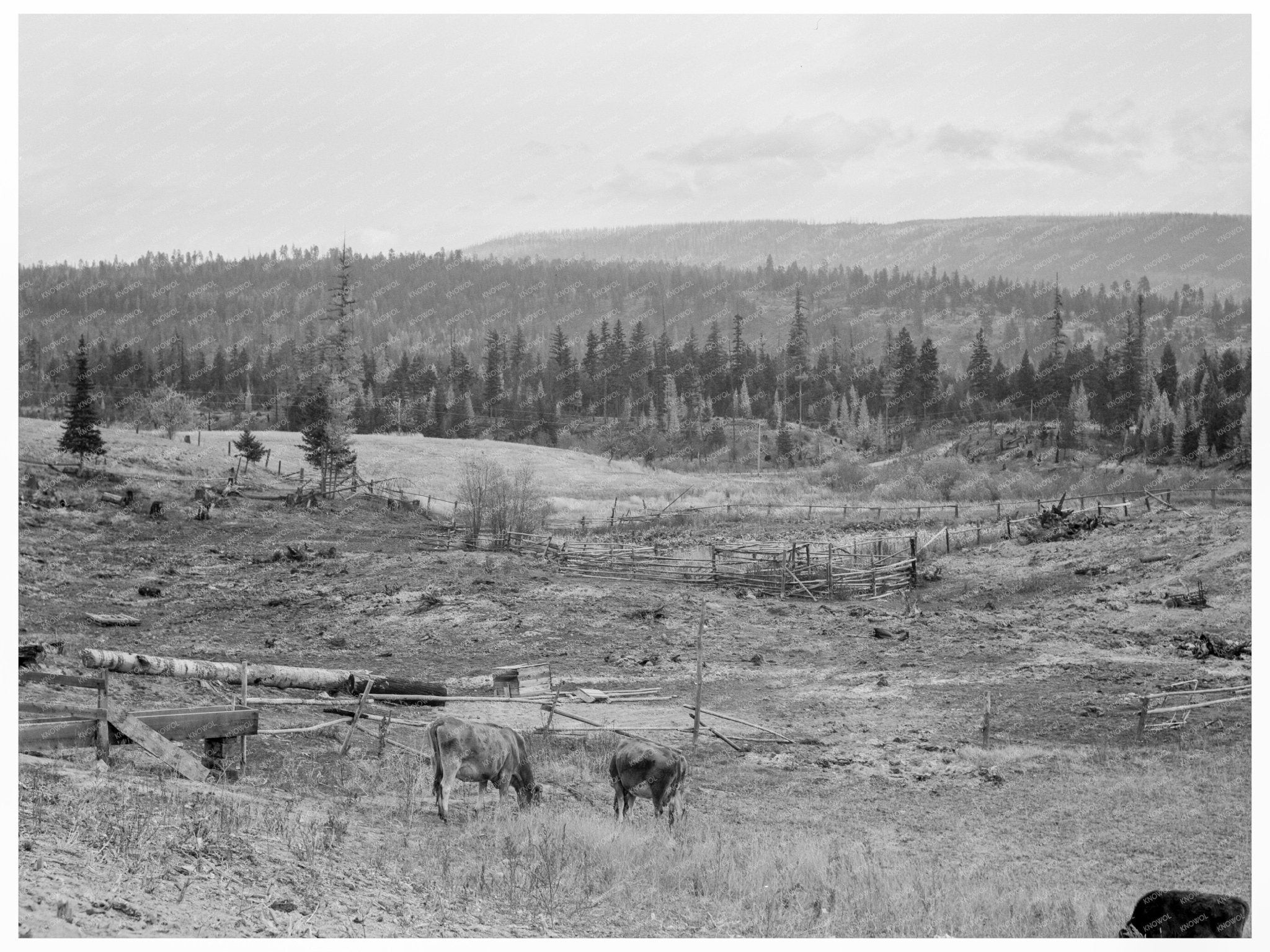 Unruf Farm Boundary County Idaho Garden October 1939 - Available at KNOWOL