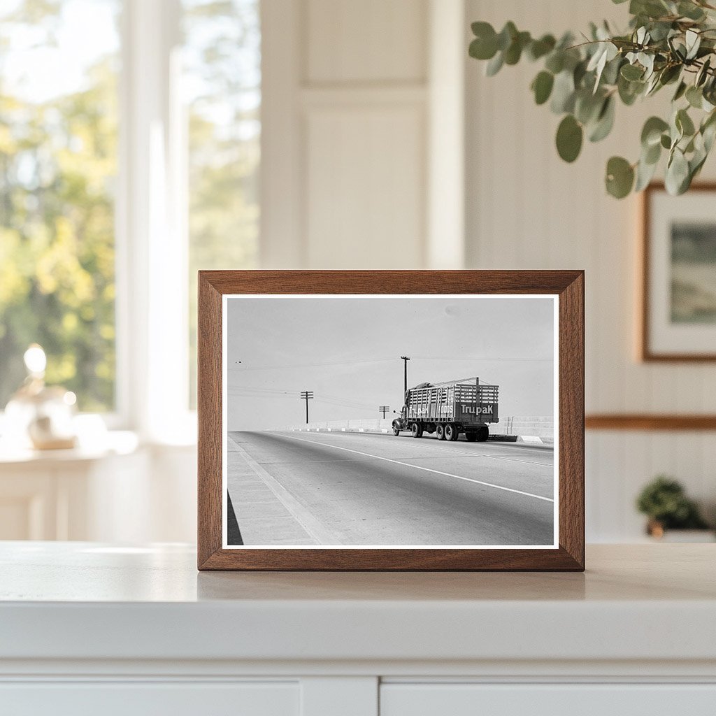 U.S. 99 Overpass Between Tulare and Fresno 1939 - Available at KNOWOL