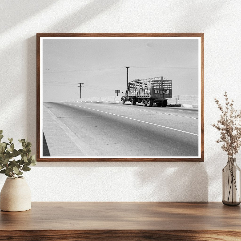 U.S. 99 Overpass Between Tulare and Fresno 1939 - Available at KNOWOL