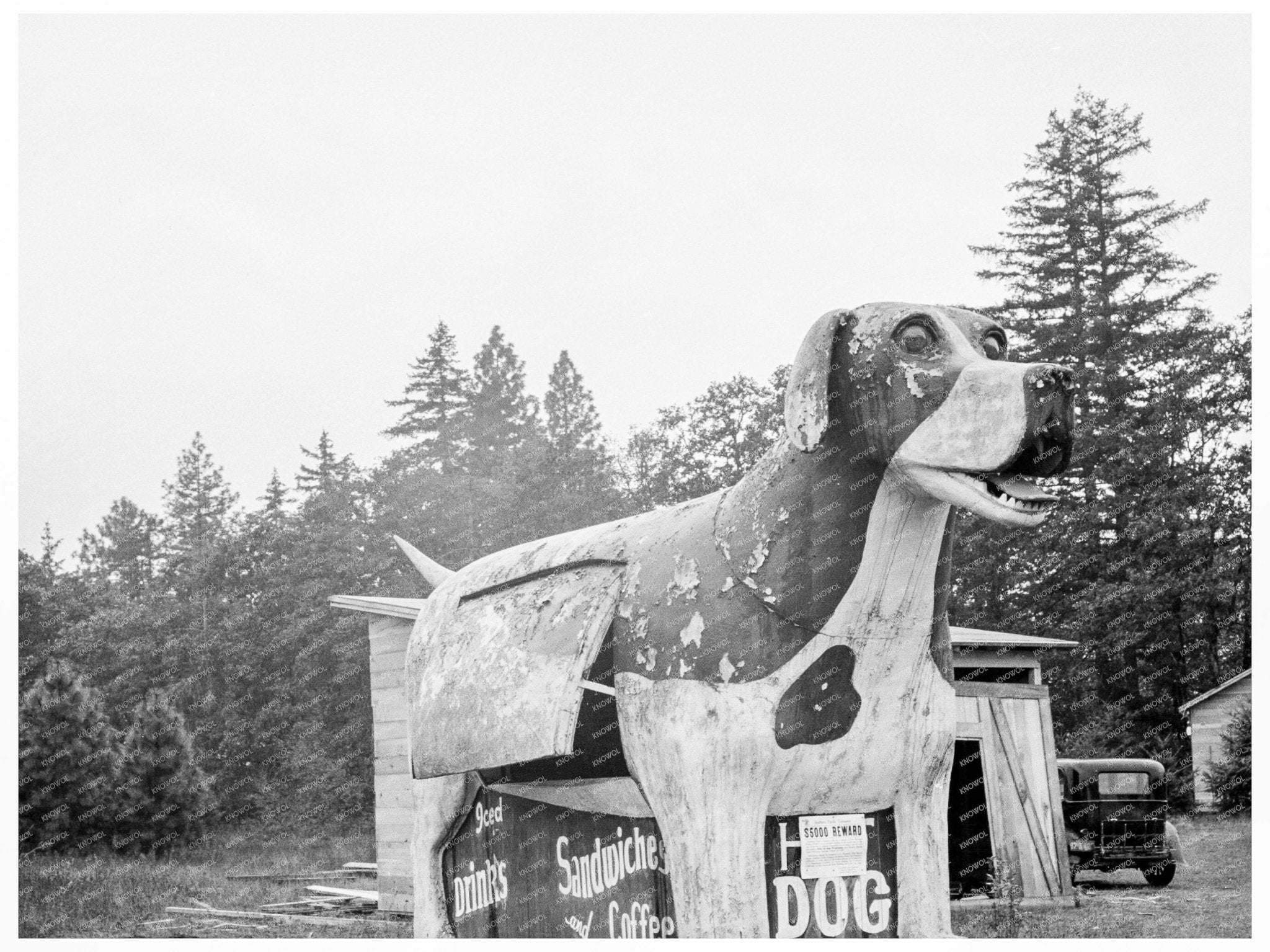 U.S. Route 99 Lane County Oregon October 1939 - Available at KNOWOL