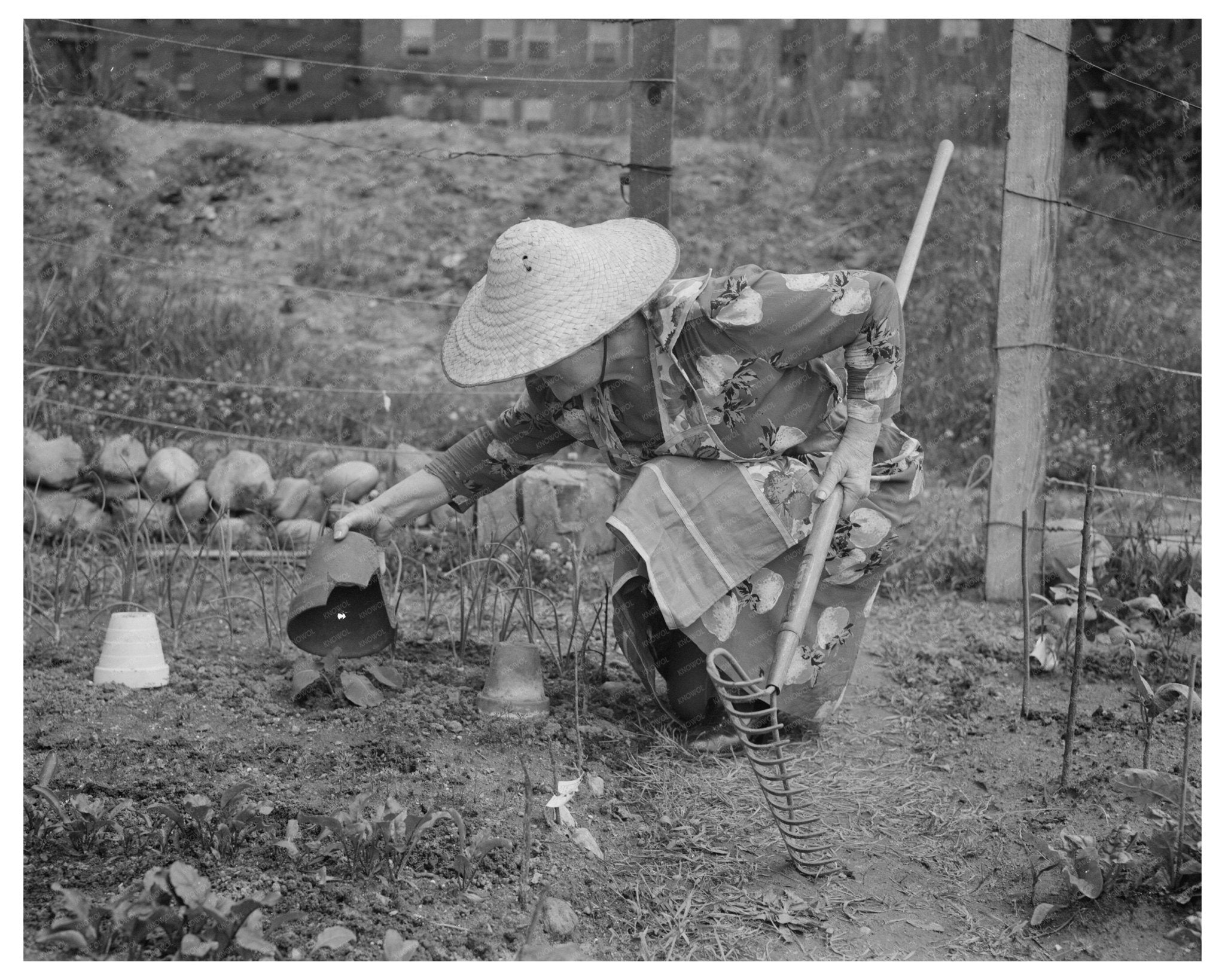 Victory Garden in Forest Hills Queens June 1944 - Available at KNOWOL