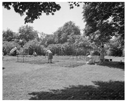 Victory Gardening at Charles Schwab Estate June 1944 - Available at KNOWOL