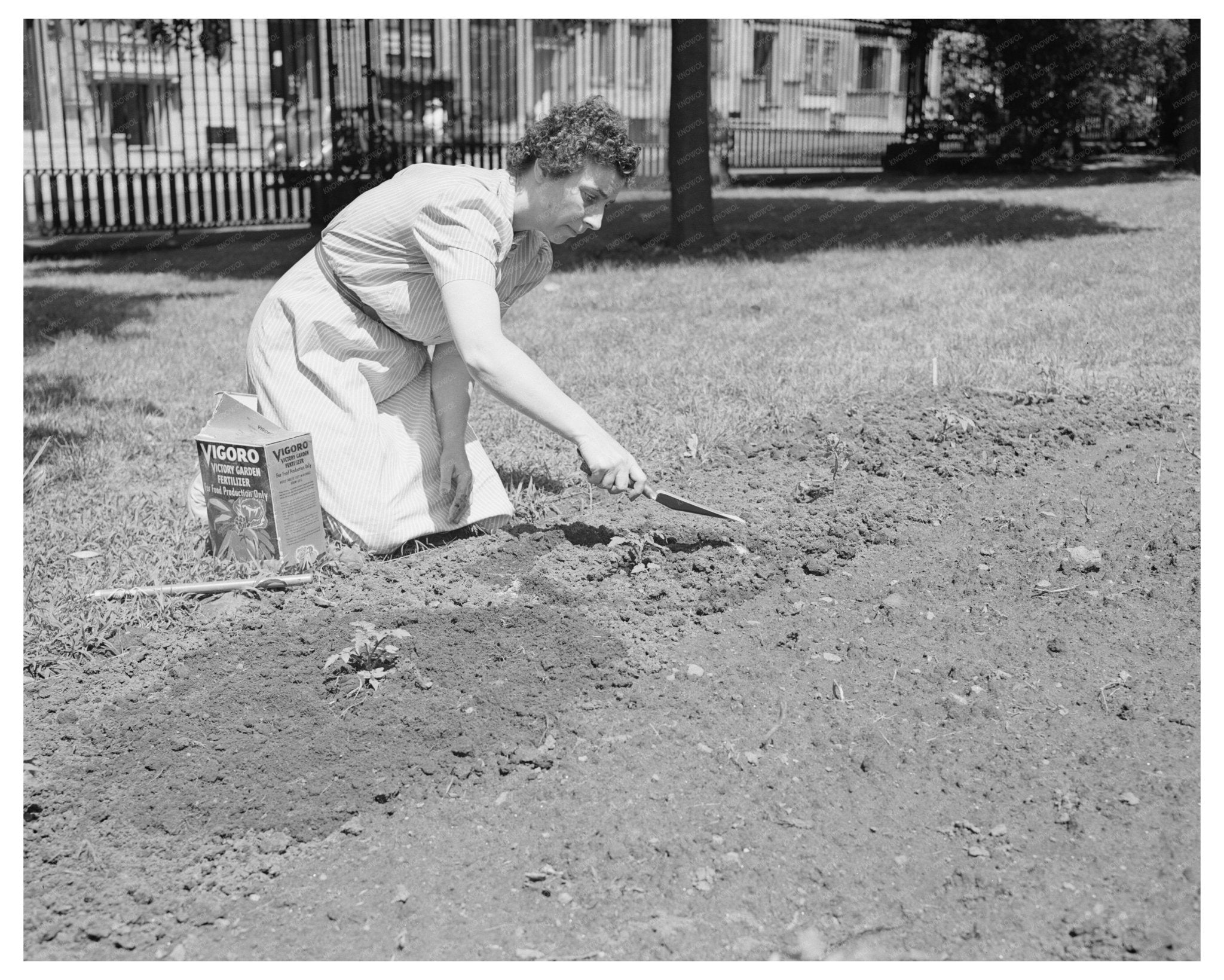 Victory Gardening on Charles Schwab Estate 1944 - Available at KNOWOL