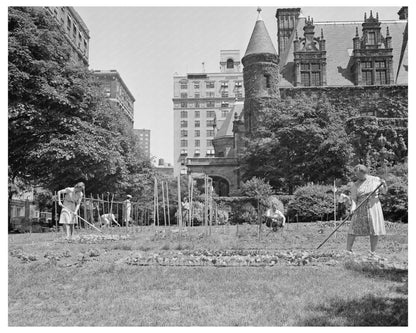 Victory Gardening on Charles Schwab Estate New York 1944 - Available at KNOWOL