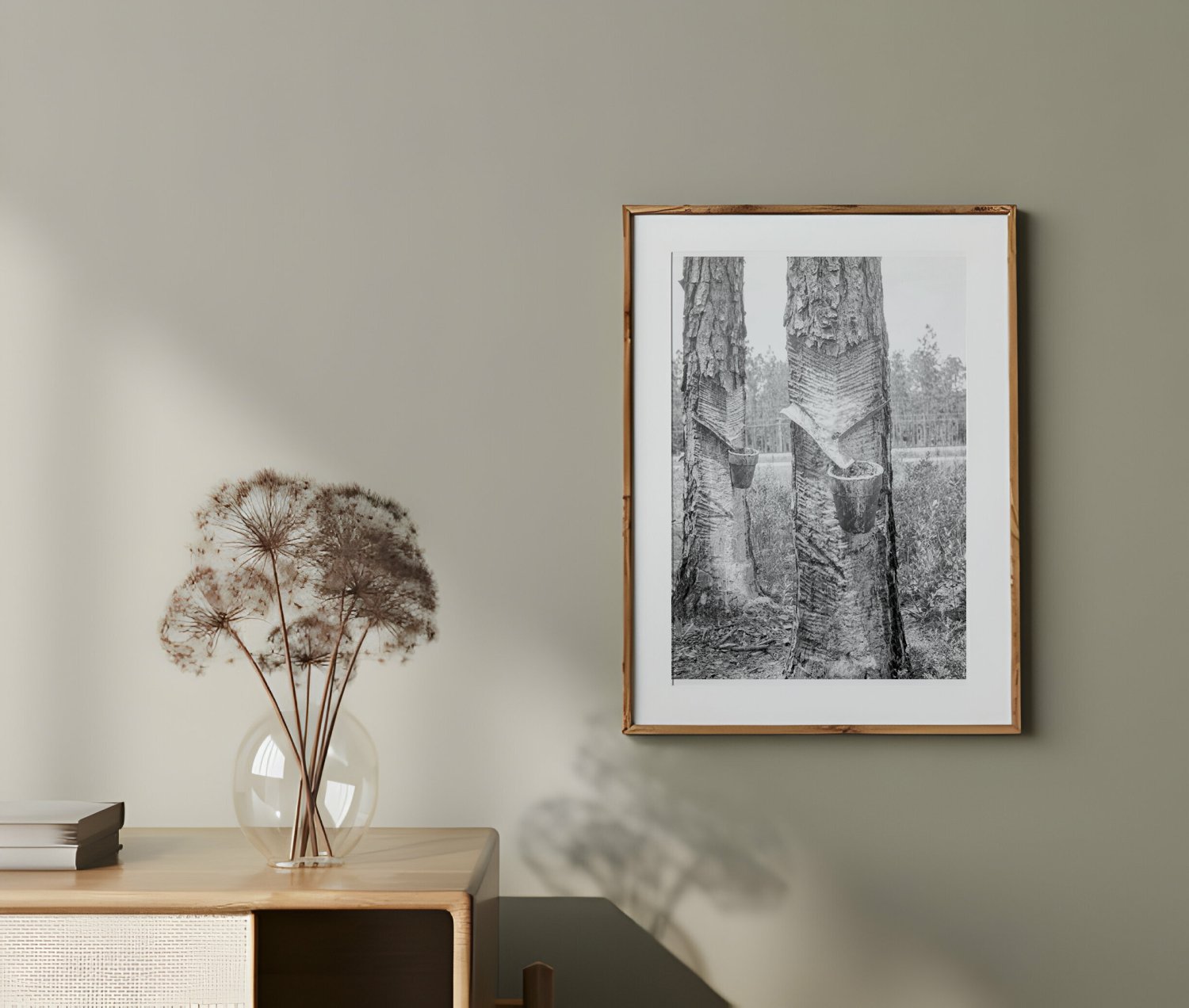 Vintage 1936 Photograph of Turpentine Trees in Northern Florida FSA/OWI Collection - Available at KNOWOL