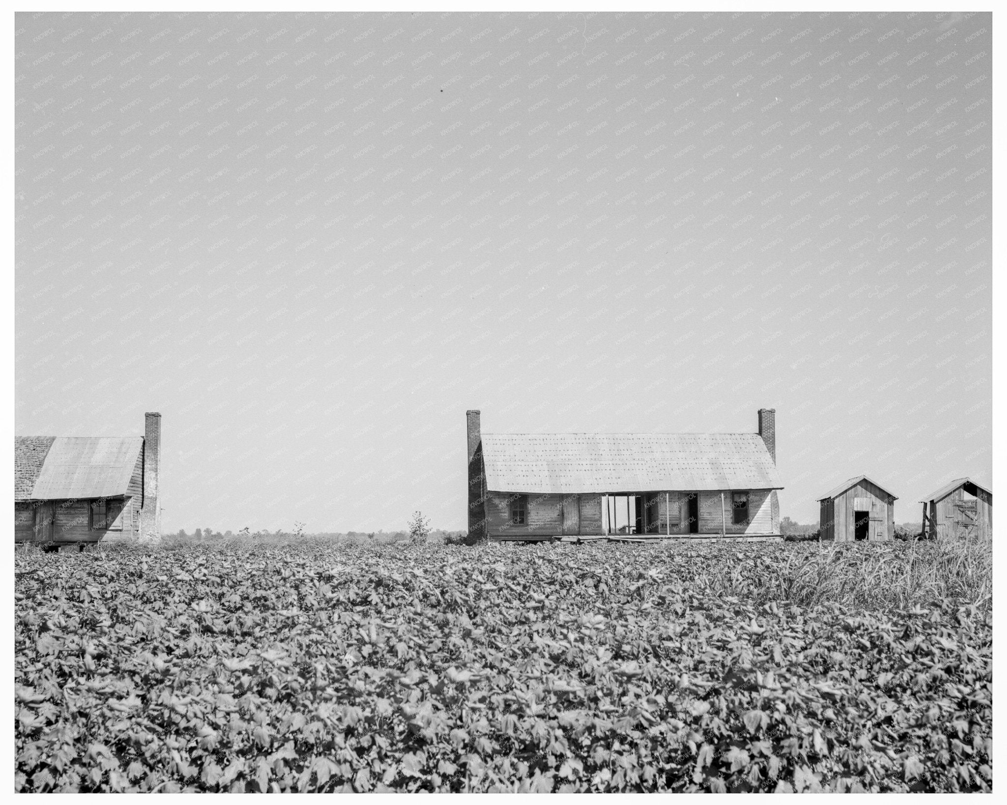 Vintage 1937 Photo of Abandoned Dog Run Cabins Mississippi Delta - Available at KNOWOL