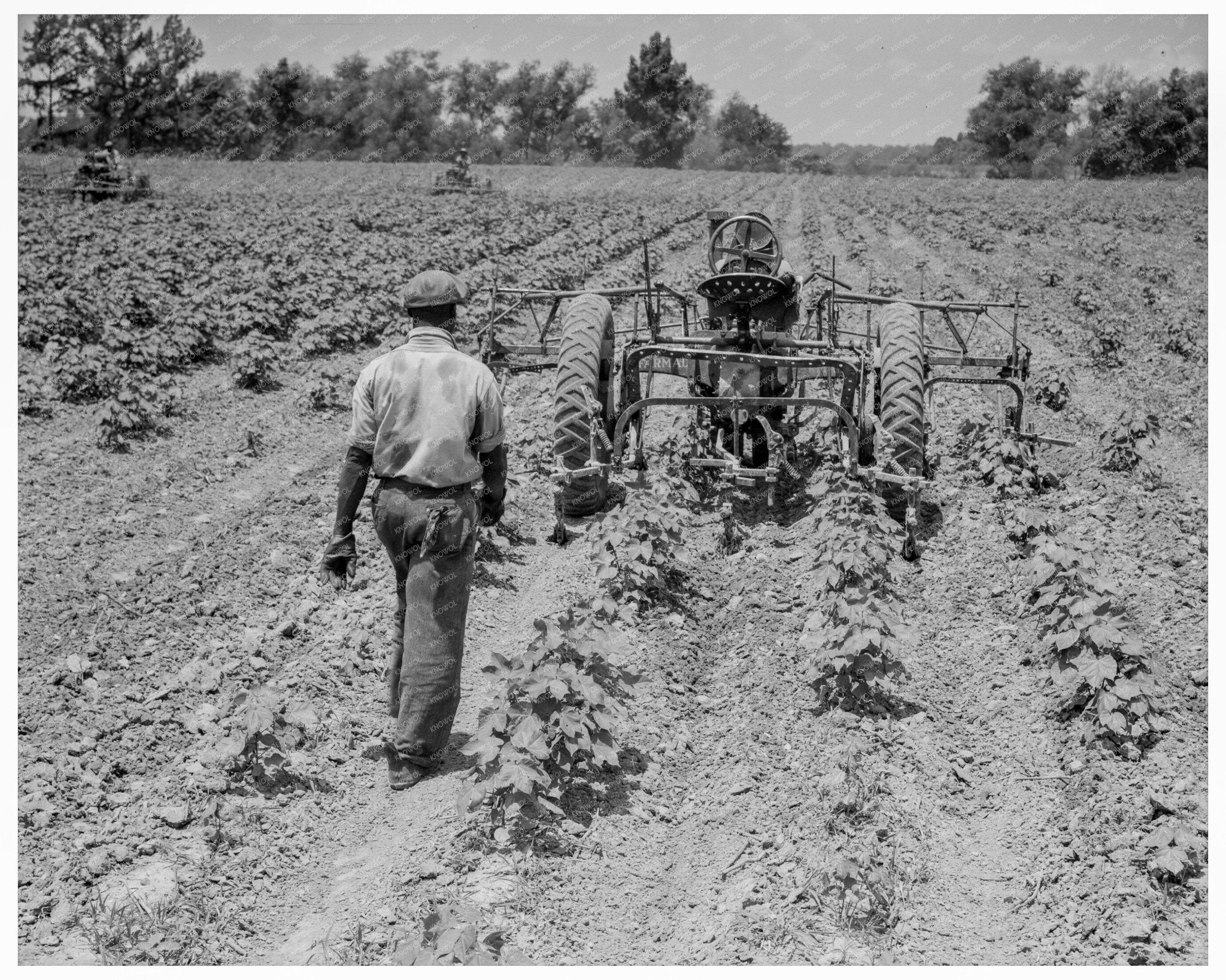 Vintage 1937 Photo of Young Tractor Operators in Mississippi - Available at KNOWOL