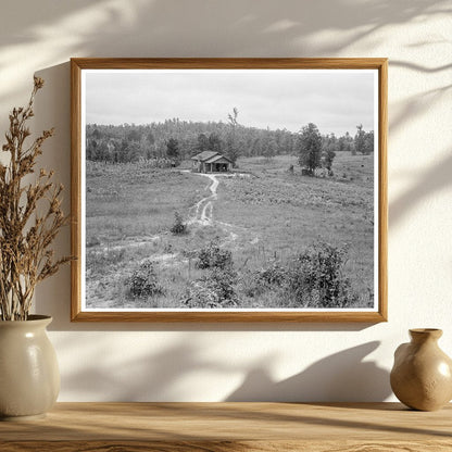 Vintage 1938 Cotton Farm Sharecroppers Alabama Image - Available at KNOWOL