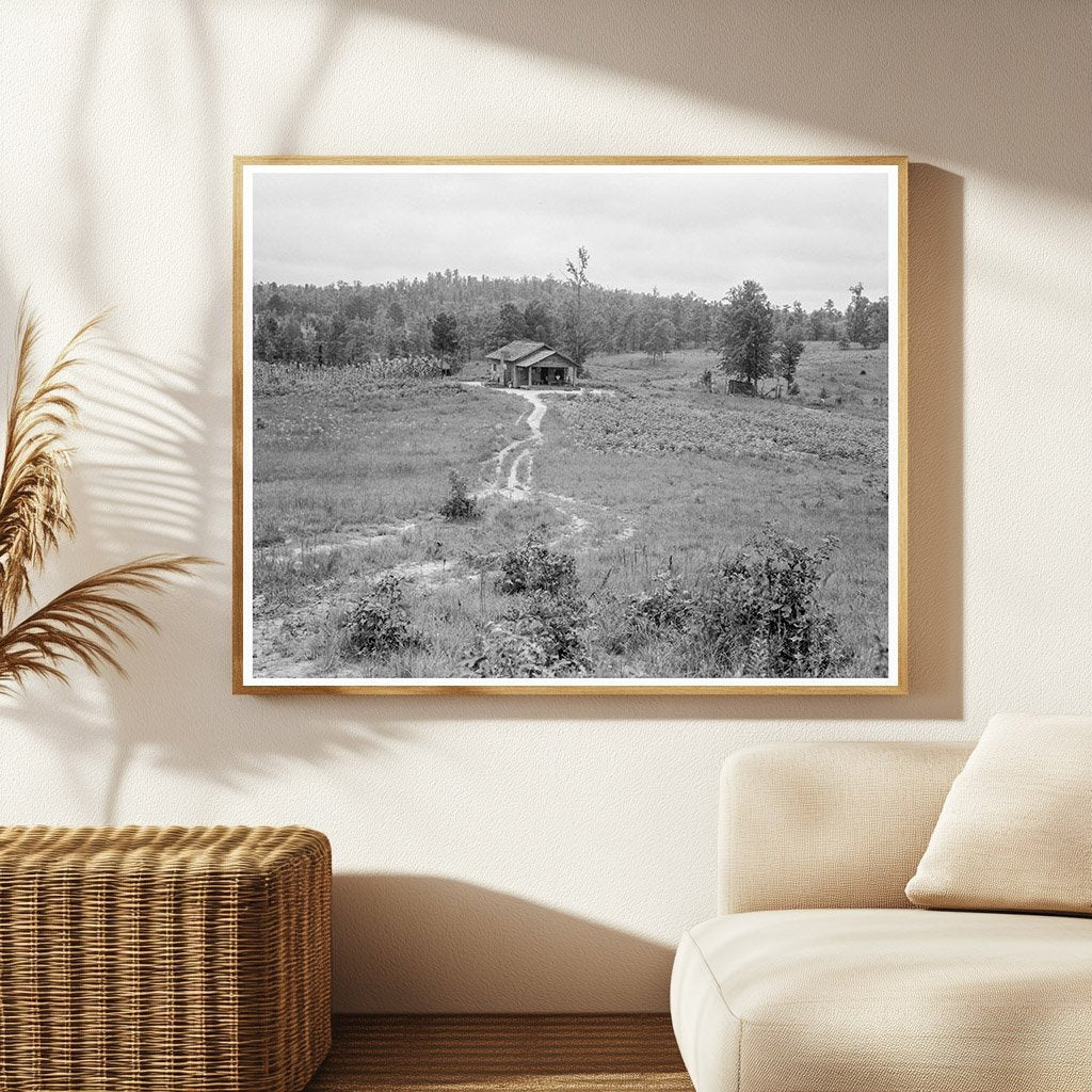 Vintage 1938 Cotton Farm Sharecroppers Alabama Image - Available at KNOWOL