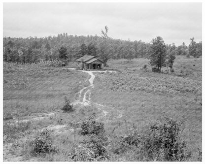 Vintage 1938 Cotton Farm Sharecroppers Alabama Image - Available at KNOWOL